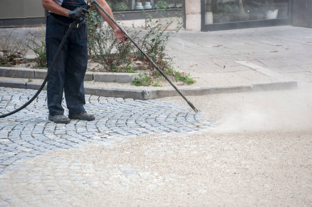 Animal Enclosure Cleaning in Ladera Heights, CA